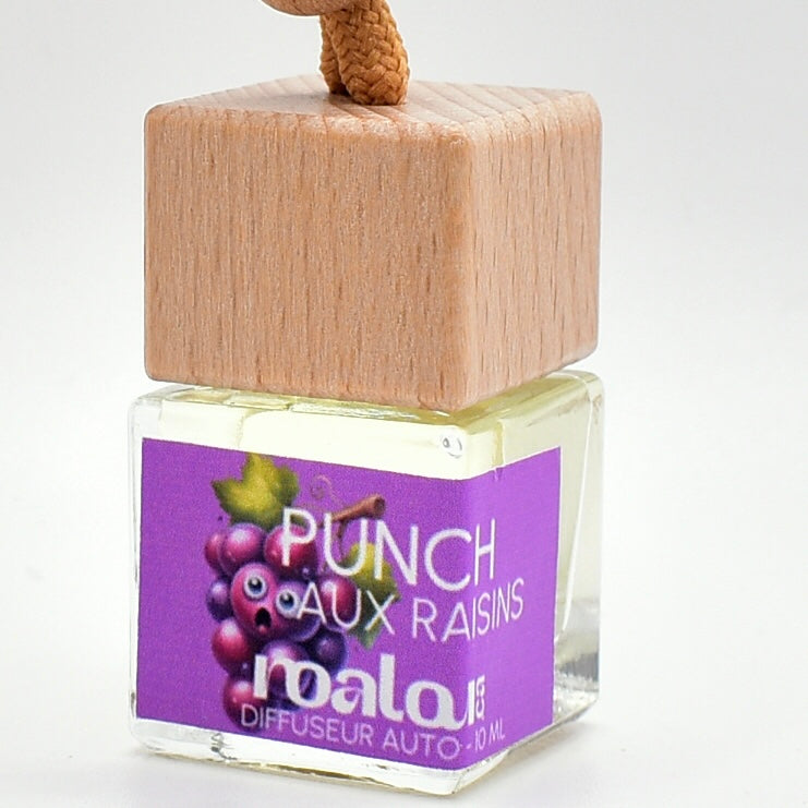 DIFFUSEUR AUTO | PUNCH AUX RAISINS