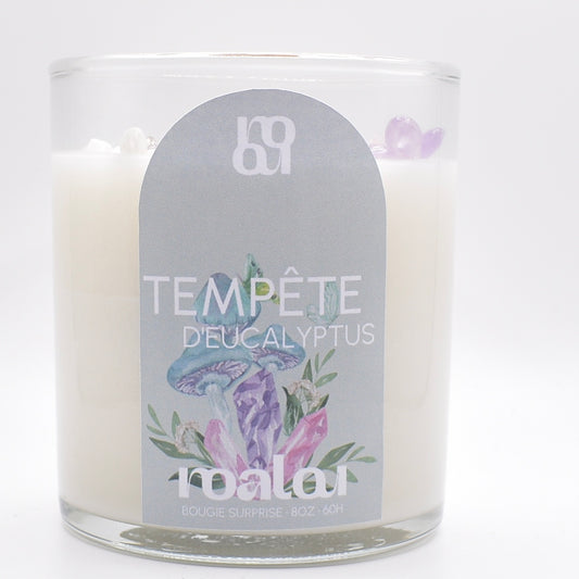 BOUGIE PRÉCIEUSE | TEMPÊTE D’EUCALYPTUS