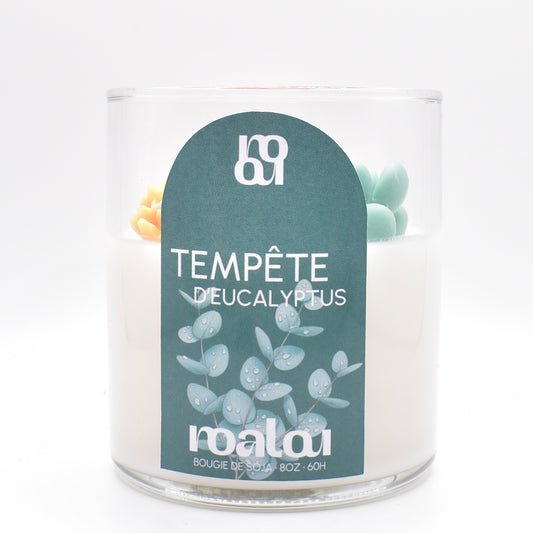 BOUGIES GOURMANDES | TEMPÊTE D’EUCALYPTUS