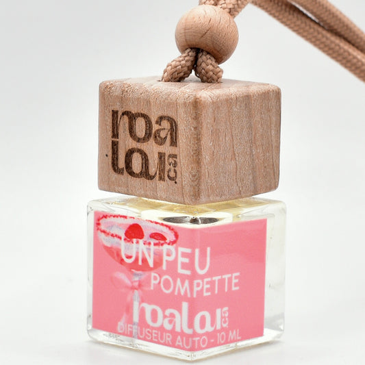 DIFFUSEUR AUTO | UN PEU POMPETTE