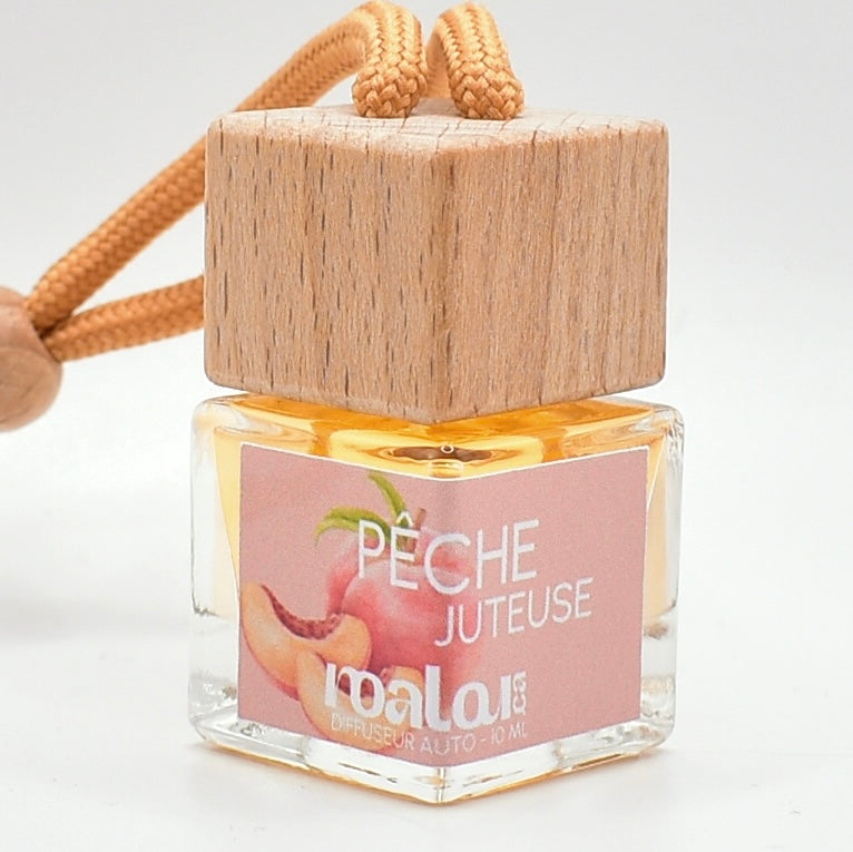 DIFFUSEUR AUTO | PÊCHE